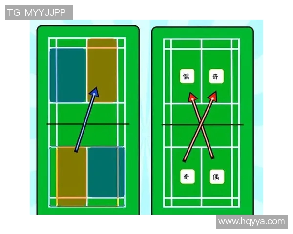 从零基础到高手之路羽毛球战术全方位解析与实战技巧分享